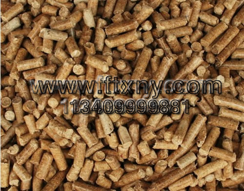 經過顆粒機加工的鬆木生物質顆粒燃料