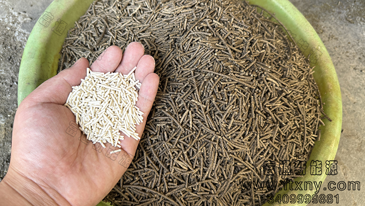 白色豆腐貓砂顆粒和灰色的對比